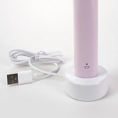 Электрическая зубная щетка Philips Sonicare HX3651/11 2100 Series