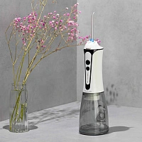 Ирригатор Revyline RL 450