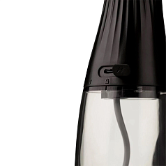 Ирригатор Revyline RL 220 (черный)