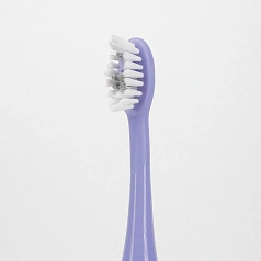 Насадки Ordo Sonic+ фиолетовые (2шт)