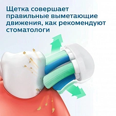 Электрическая зубная щетка Philips Sonicare HX3651/12 2100 Series