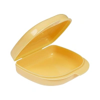 Контейнер Denture Box 03 для хранения зубных конструкций