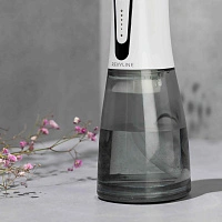 Ирригатор Revyline RL 450